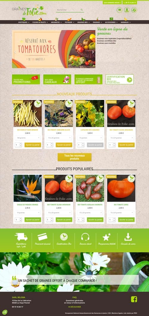 conception site ecommerce saint-lo