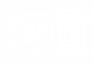 logo-copinew-blanc_Plan-de-travail-1-300x212-1.png